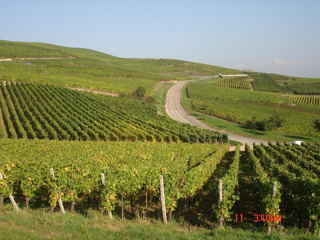 Gite Du Vigneron Turckheim Exteriér fotografie